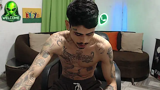 Show Webcam de alpha_zom