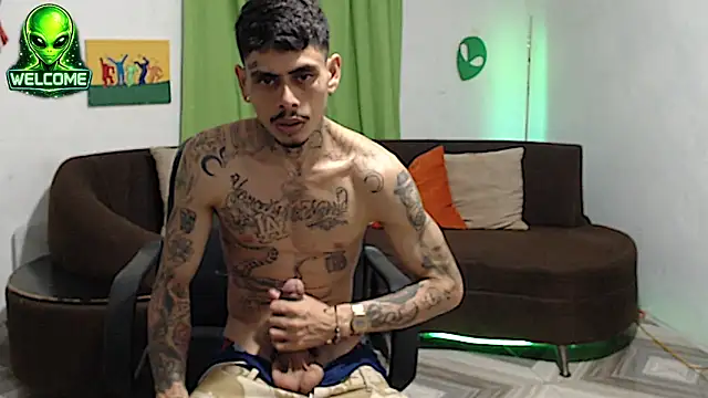 Show Webcam de alpha_zom