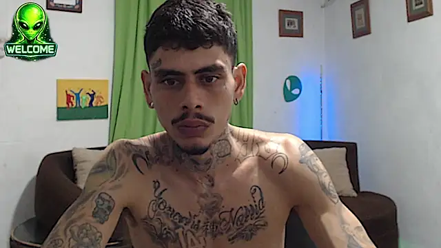 Show webcam de alpha_zom