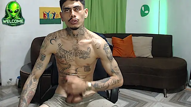 Show webcam de alpha_zom