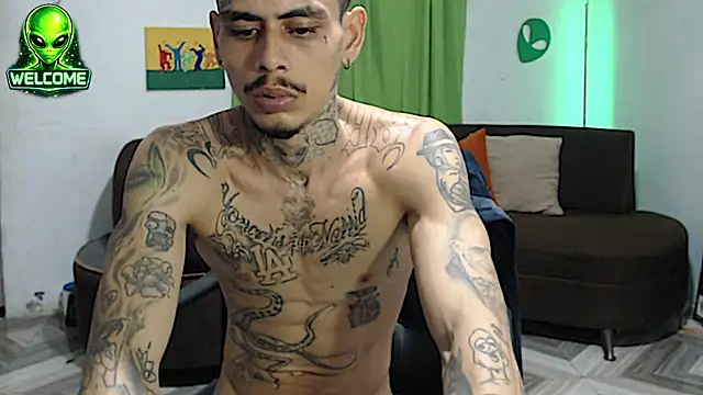 Show webcam de alpha_zom