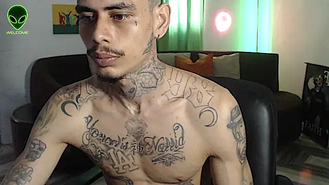 Show webcam de alpha_zom