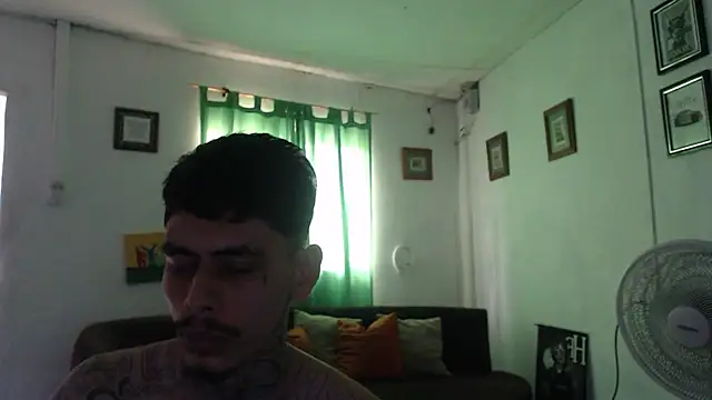 Show webcam de alpha_zom