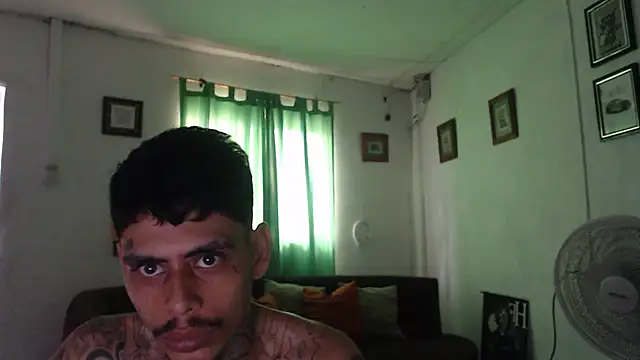 Show webcam de alpha_zom