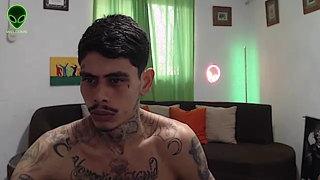 Show webcam de alpha_zom