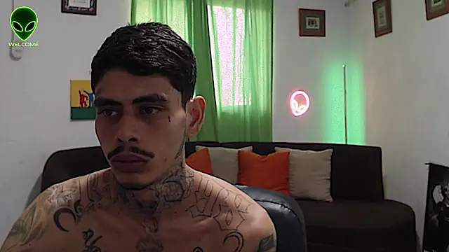 Show webcam de alpha_zom