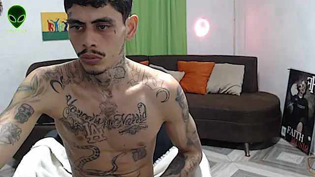 Show Webcam de alpha_zom
