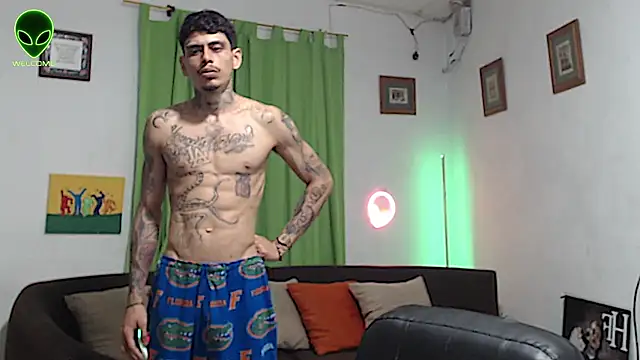 Show webcam de alpha_zom
