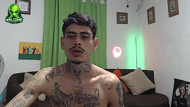 Show webcam de alpha_zom