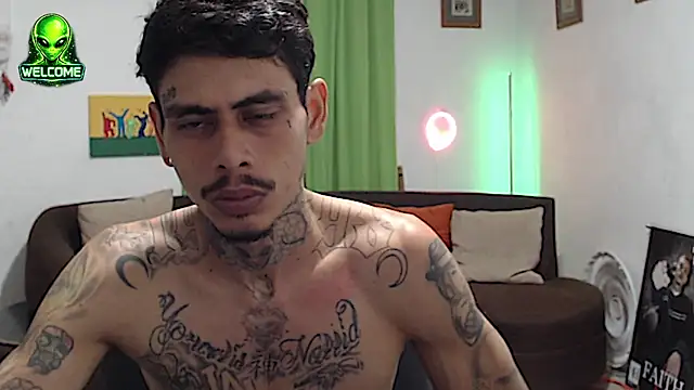عرض كام alpha_zom