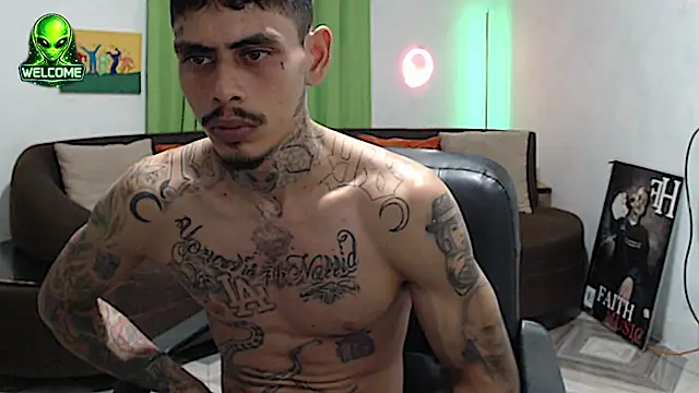Show webcam de alpha_zom