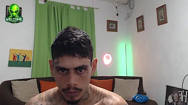 Show webcam de alpha_zom