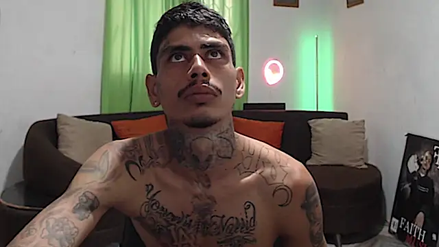 Show webcam de alpha_zom