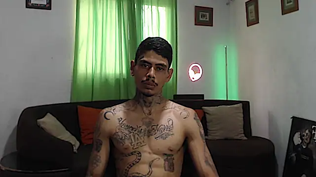 Show webcam de alpha_zom