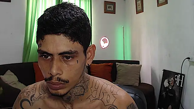 Show webcam de alpha_zom