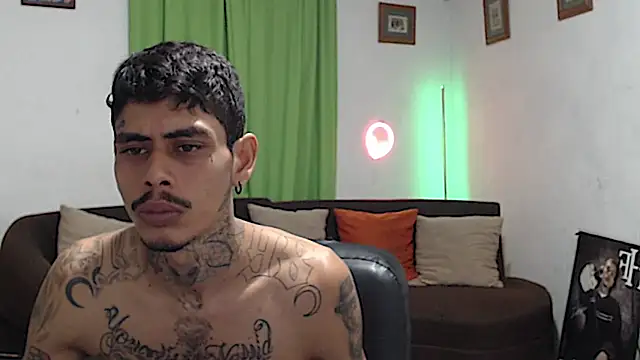 Show webcam de alpha_zom