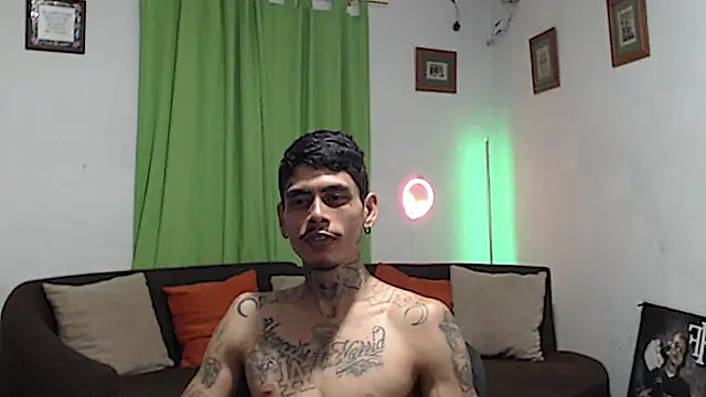 Show webcam de alpha_zom