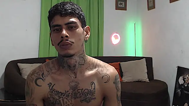 Show webcam de alpha_zom