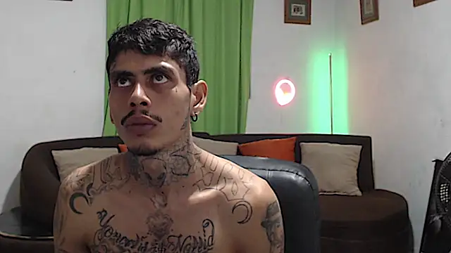 Show webcam de alpha_zom
