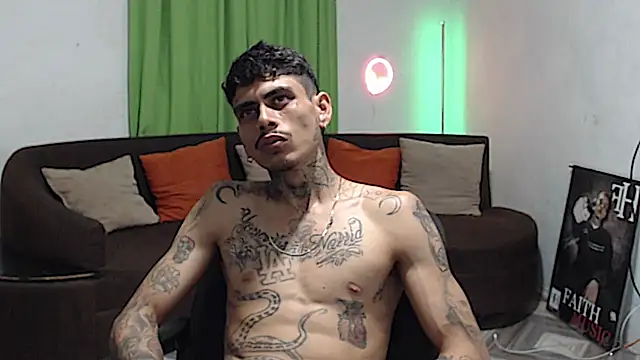 Show webcam de alpha_zom
