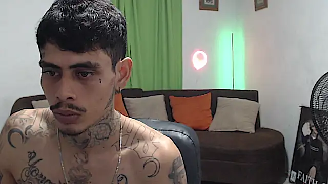 Show webcam de alpha_zom