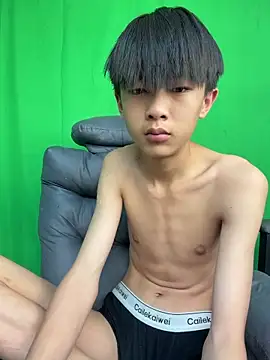Show webcam de DD-101