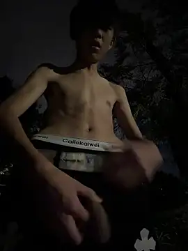 DD-101 Webcam show