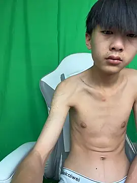 DD-101 Pertunjukan Webcam