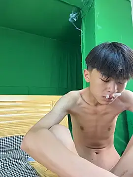 DD-101 Pertunjukan Webcam
