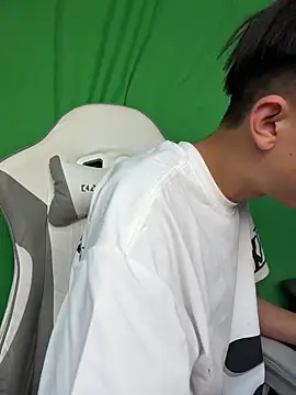 Show webcam de DD-101