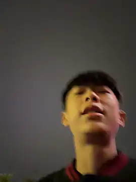DD-101 Pertunjukan Webcam