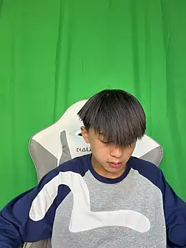 Show webcam de DD-101