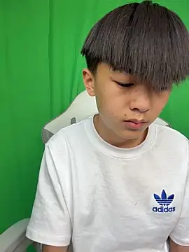 DD-101のウェブカメラショー
