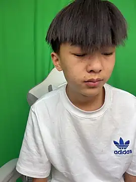 DD-101 网络视讯表演