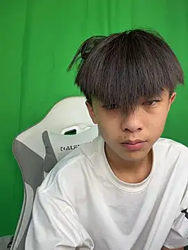 DD-101 网络视讯表演