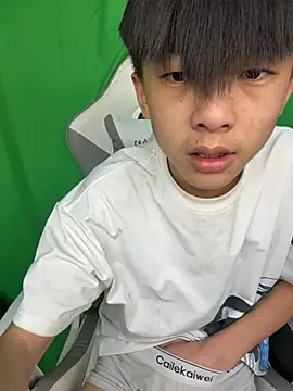 โชว์เว็บแคมของ DD-101