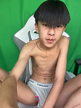 DD-101 Webcam-Show