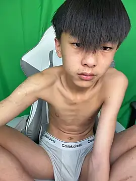 DD-101 Webcam Show