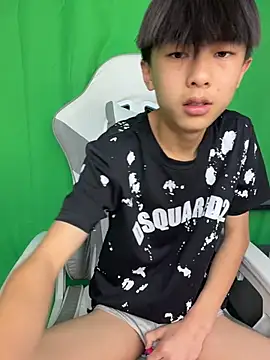 โชว์เว็บแคมของ DD-101