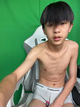 Show webcam de DD-101