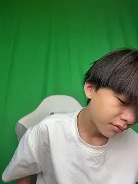 DD-101 Webcam-Show