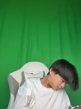 DD-101 Show Webcam