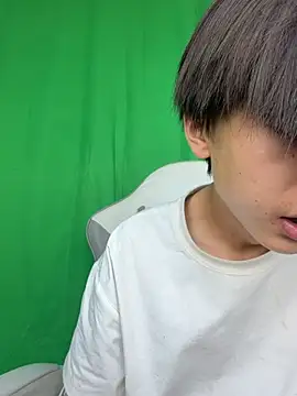 DD-101のウェブカメラショー