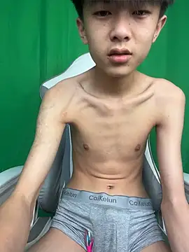 DD-101 网络视讯表演