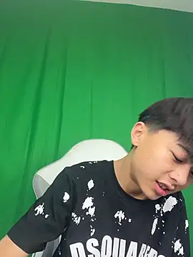 โชว์เว็บแคมของ DD-101