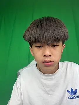 DD-101 网络视讯表演