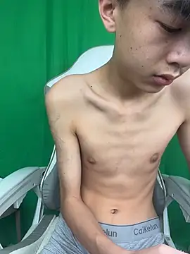 Show Webcam de DD-101