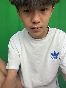 DD-101 Show Webcam