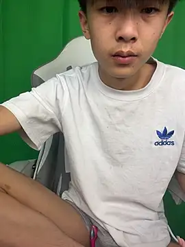 DD-101 웹캠 쇼