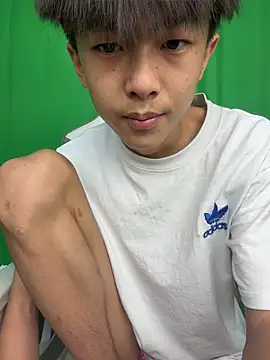 Show Webcam de DD-101